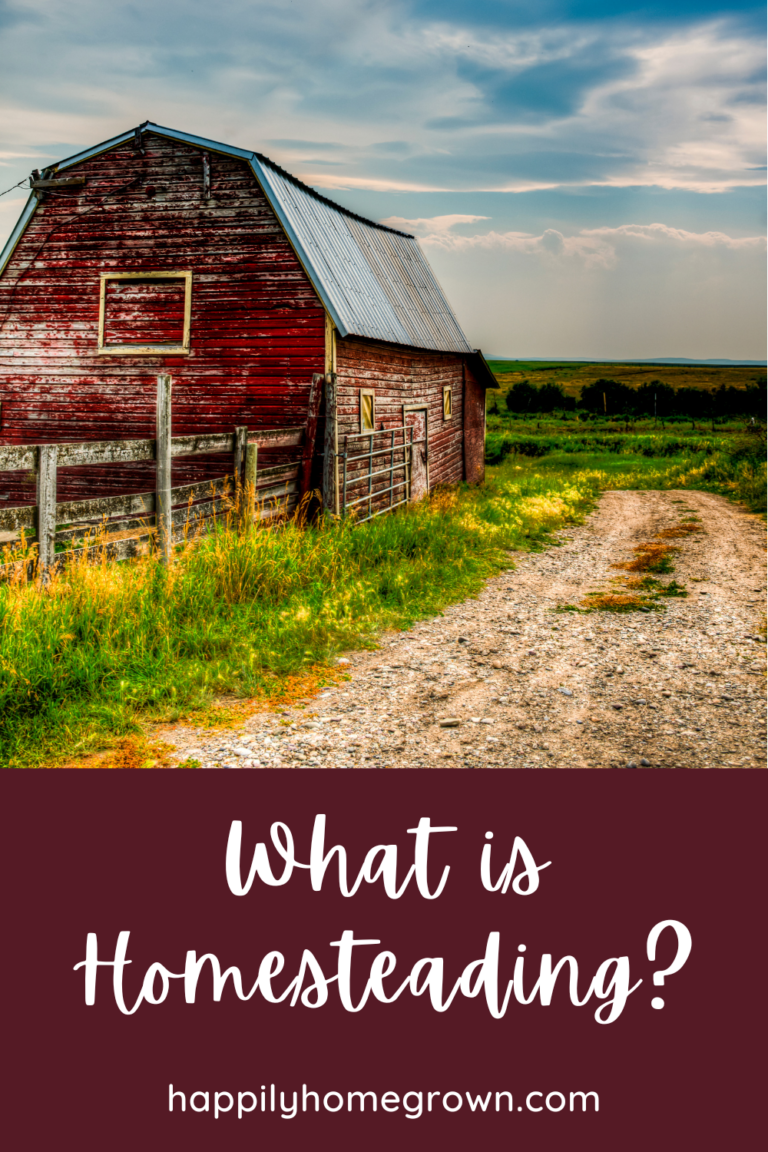 What is homesteading? Happily Homegrown